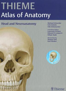 Head and Neuroanatomy