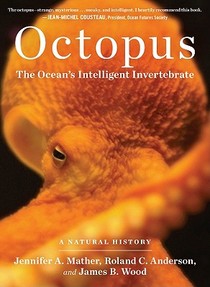 Octopus voorzijde