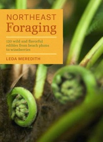 Northeast Foraging: 120 Wild and Flavorful Edibles from Beach Plums to Wineberries voorzijde