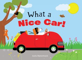 What a Nice Car!