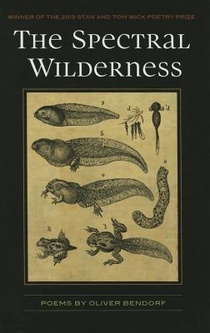 The Spectral Wilderness