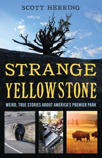 Strange Yellowstone voorzijde