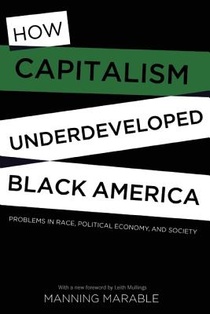 How Capitalism Underdeveloped Black America