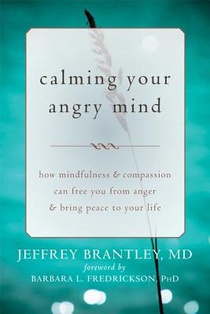 Calming Your Angry Mind voorzijde