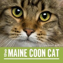 The Maine Coon Cat