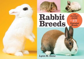 Rabbit Breeds