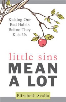 Little Sins Mean a Lot: Kicking Our Bad Habits Before They Kick Us voorzijde