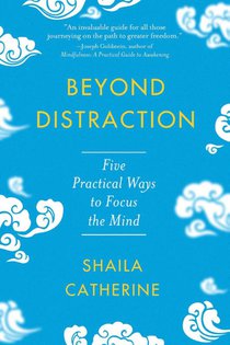 Beyond Distraction