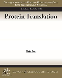 Protein Translation