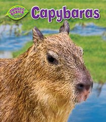 Capybaras