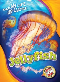 Jellyfish voorzijde