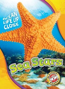 Sea Stars voorzijde