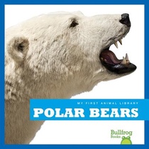 Polar Bears voorzijde