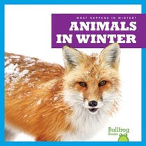 Animals in Winter