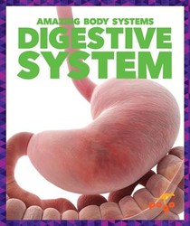 Digestive System