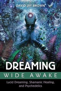 Dreaming Wide Awake voorzijde