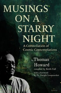 Musings on a Starry Night: A Constellation of Cosmic Contemplations