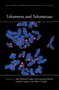 Telomeres and Telomerase