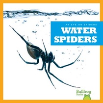 WATER SPIDERS