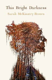 This Bright Darkness