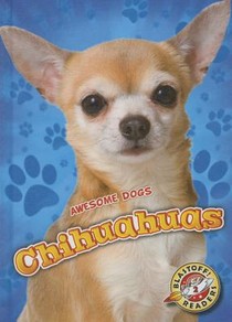 Chihuahuas