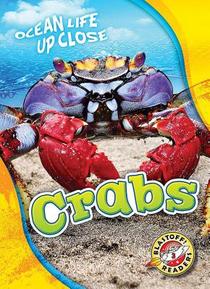 Crabs voorzijde