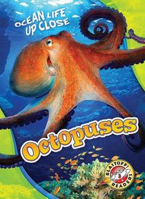 Octopuses voorzijde