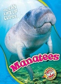 Manatees voorzijde