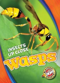 Wasps voorzijde