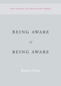 Being Aware of Being Aware