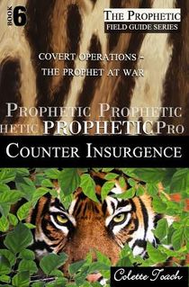 Prophetic Counter Insurgence