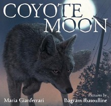 Coyote Moon voorzijde