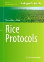 Rice Protocols