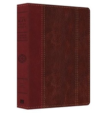 Large Print Study Bible-KJV