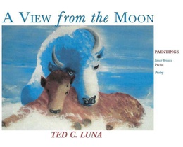 A View from the Moon (Hardcover)