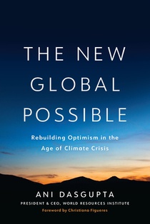 The New Global Possible