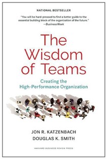 The Wisdom of Teams voorzijde