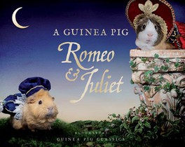 GUINEA PIG ROMEO & JULIET