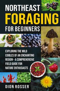 Northeast Foraging for Beginners