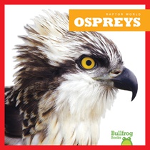 OSPREYS
