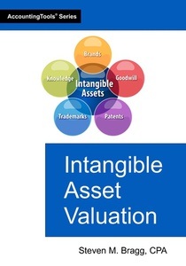 Intangible Asset Valuation