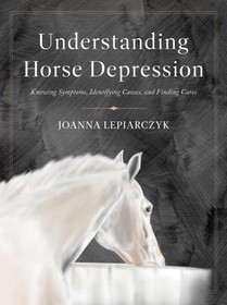 Understanding Horse Depression