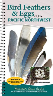 Bird Feathers & Eggs of the Northwest