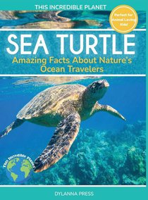 Sea Turtle