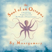 The Soul of an Octopus: A Surprising Exploration Into the Wonder of Consciousness