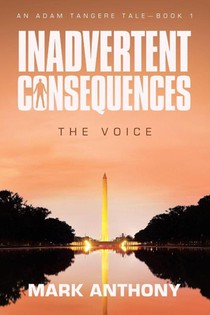 Inadvertent Consequences