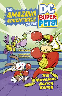 MARVELOUS BOXING BUNNY