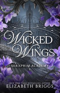 Seraphim Academy 1: Wicked Wings