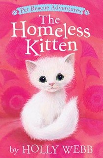 Homeless Kitten