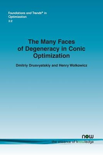 The Many Faces of Degeneracy in Conic Optimization